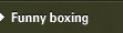 Funny boxing - Bounding Joay